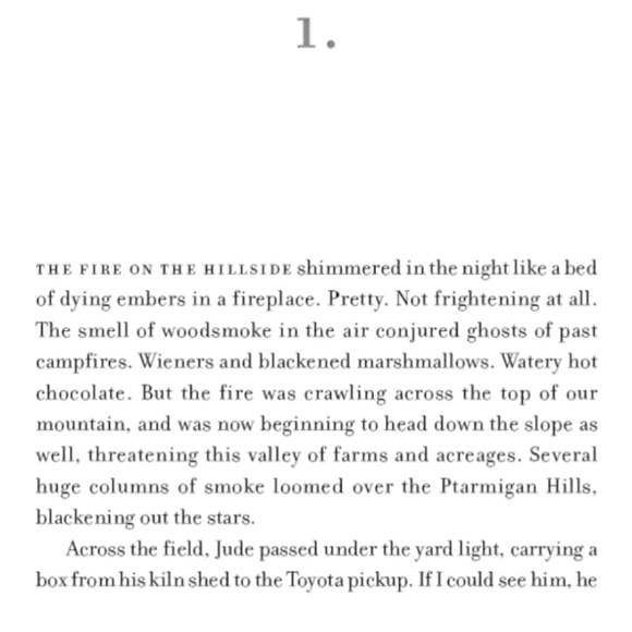 4/$30 Bundle; Novel “Turtle Valley” by Gail Anderson-Dargatz - Picture 3 of 5